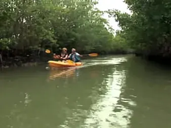 Kirra Lynne and Jt Jt get super-naughty with a rock hard-core ravaging of their moist vulvas